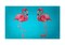 Betsy Drake Pink Flamingo 30 Inch By 50 Inch Comfort Floor Mat